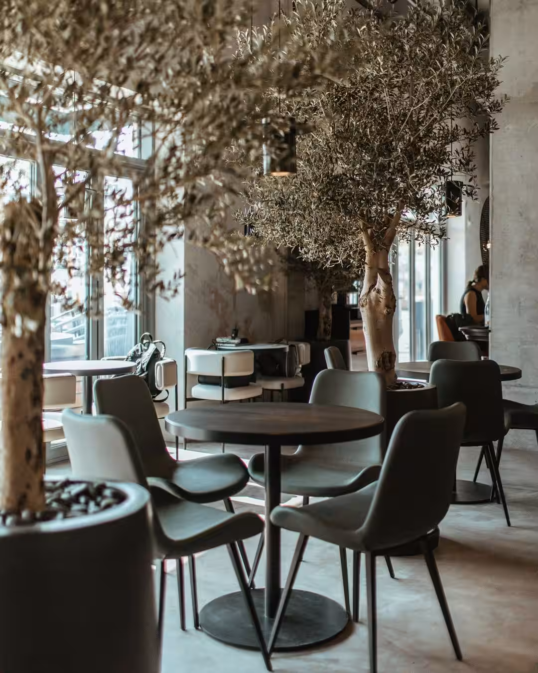 Cafe 45, LaMar, Dubai